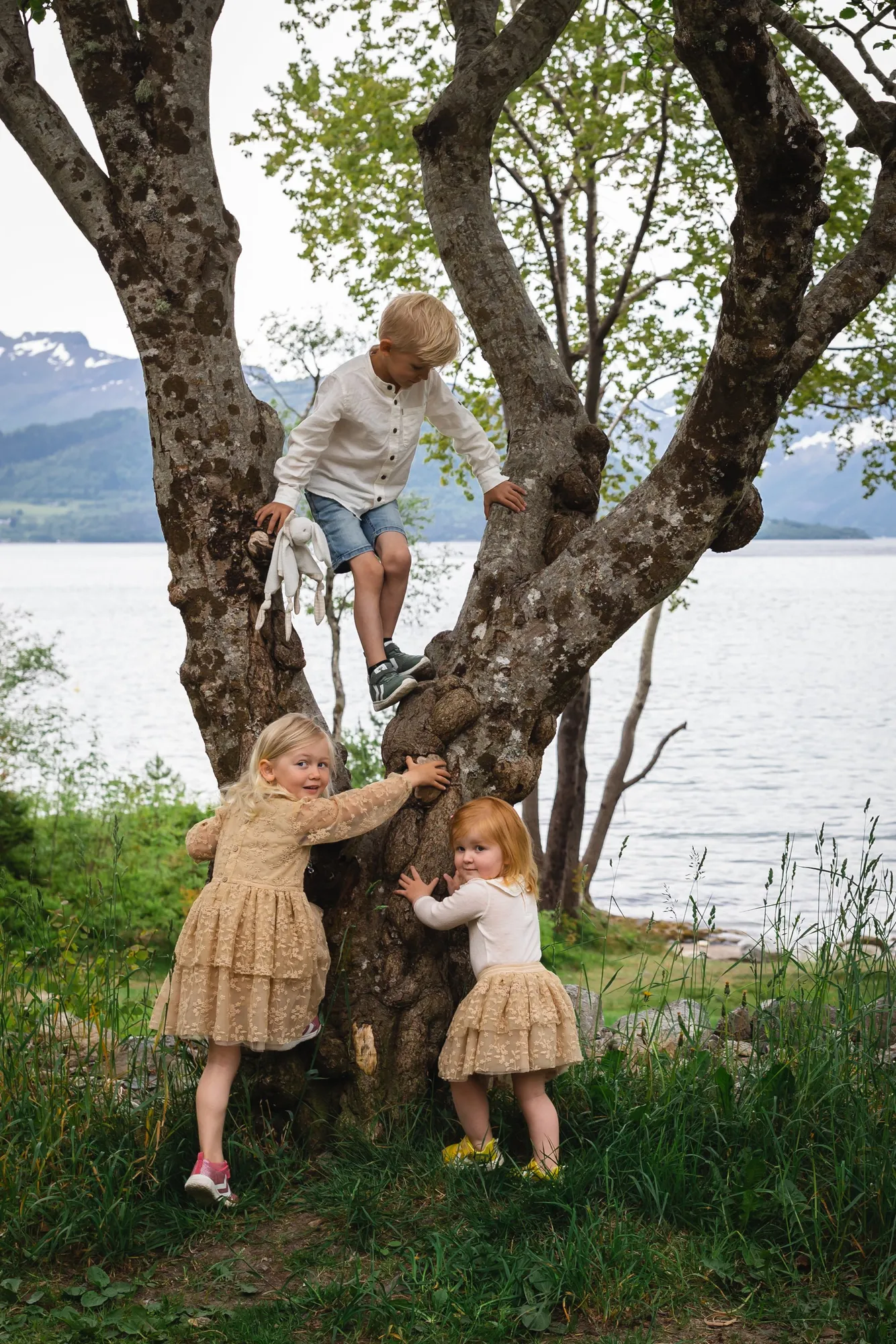 Tre unger, tre hunder og fem voksne - slik blir familiefotograferingen til en minnerik opplevelse - uten stress!