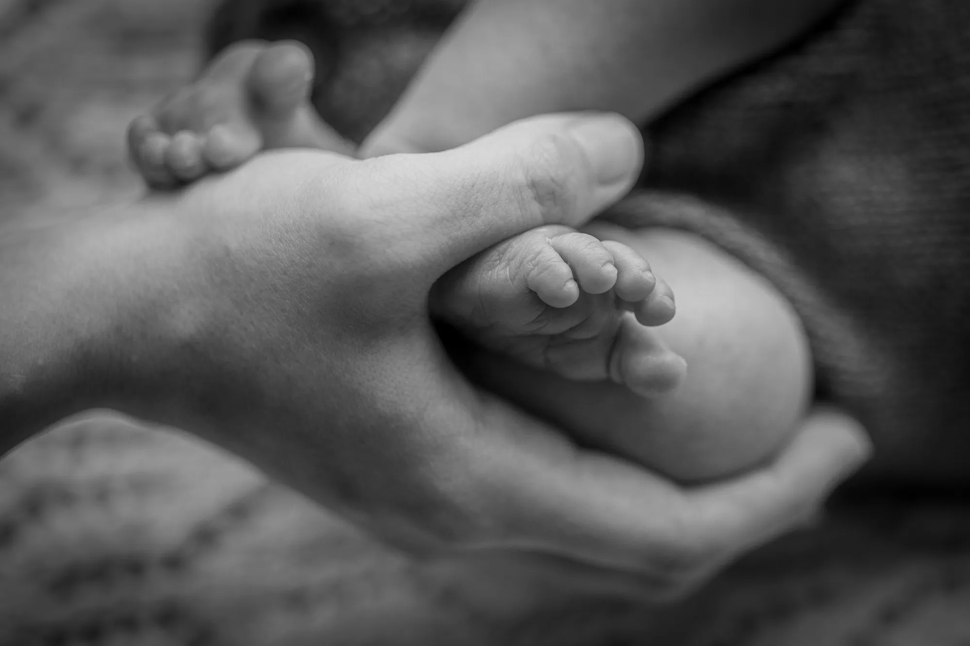 Nyfødtfotografering hjemme hos deg